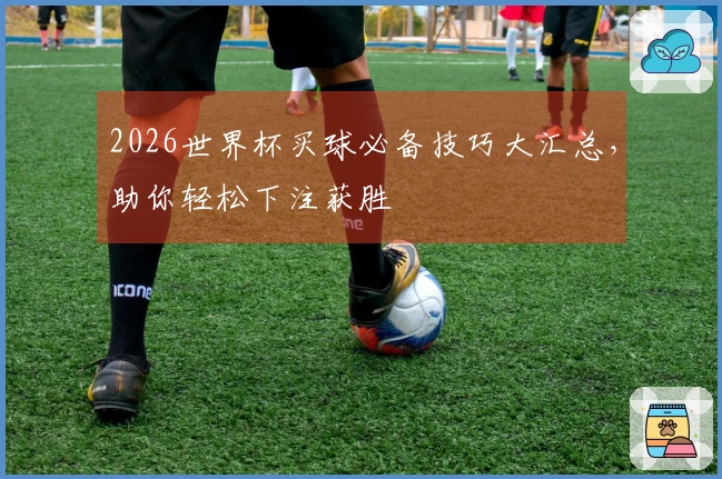 2026世界杯买球必备技巧大汇总，助你轻松下注获胜