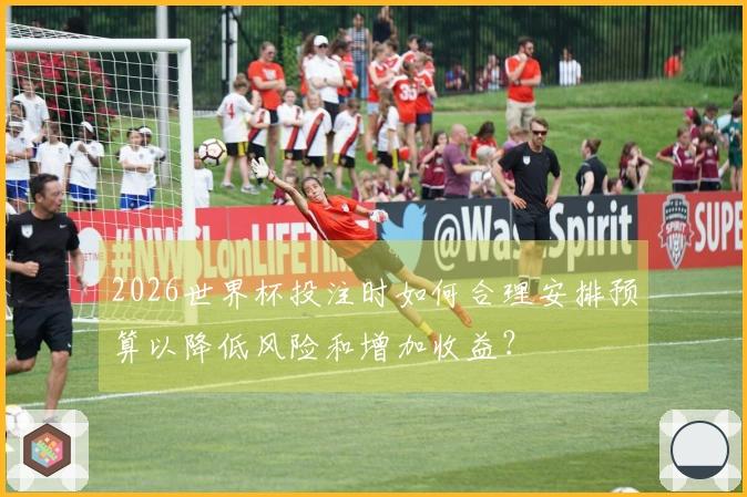 2026世界杯投注时如何合理安排预算以降低风险和增加收益？