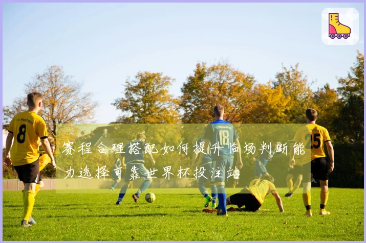 赛程合理搭配如何提升临场判断能力选择可靠世界杯投注站