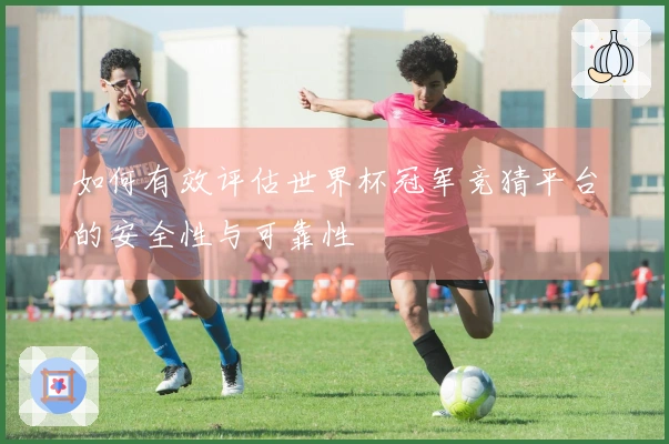 如何有效评估世界杯冠军竞猜平台的安全性与可靠性