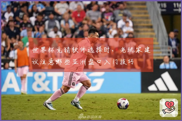 世界杯竞猜软件选择时，老玩家建议注意哪些亚洲盘口入门技巧